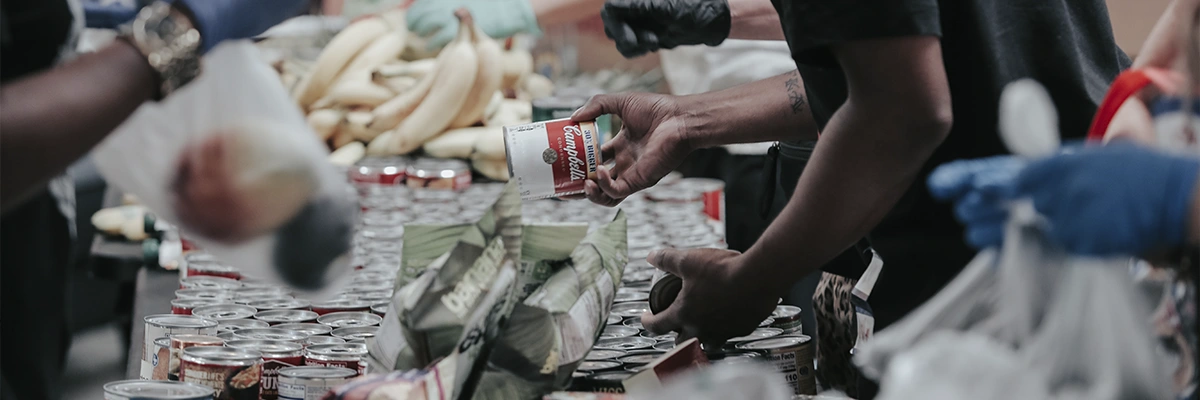 Como captar recursos para uma ONG durante o ano?