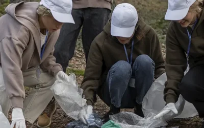Desenvolvimento comunitário: estratégias, impacto e exemplos