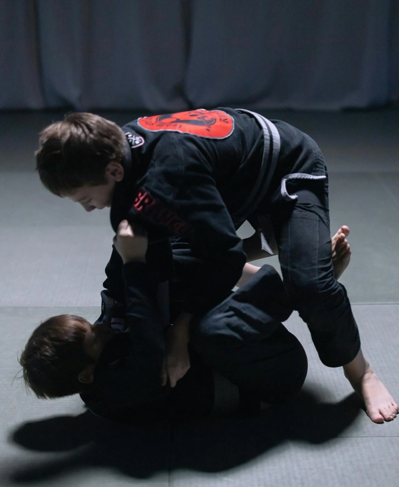jiu-jitsu jiu-jitsu
