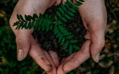 Entenda o que é o ESG e qual é sua importância