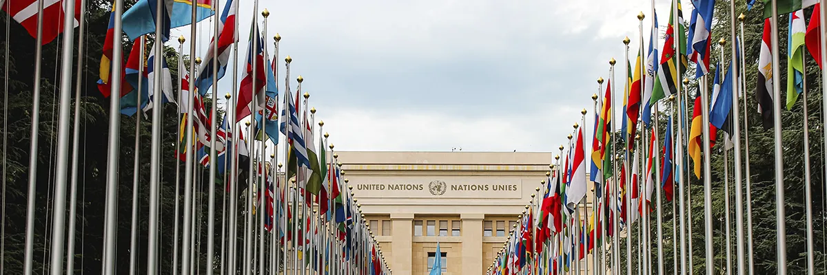 Os 17 objetivos de desenvolvimento sustentável (ODS)